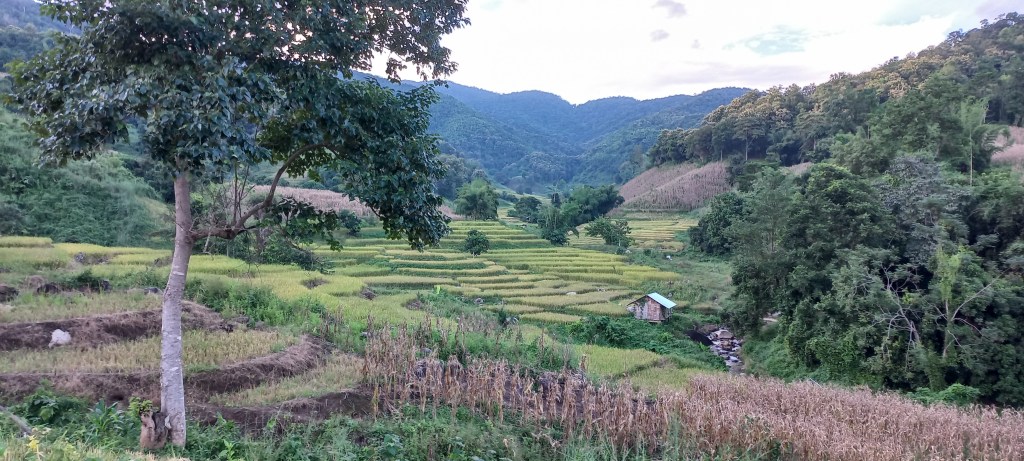 guide trekking chiang rai thailand off the beaten tracks english mountain hilltribe 3 days 2 nights