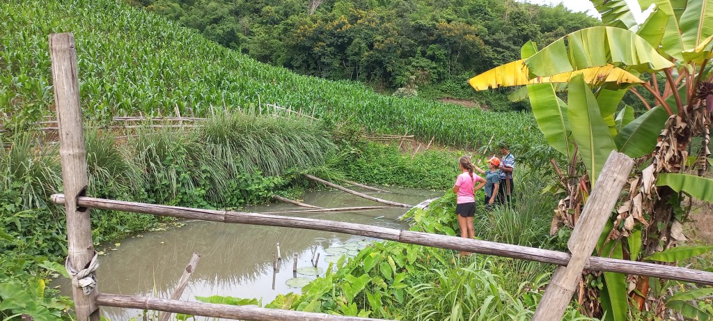 guide trekking chiang rai thailand off the beaten tracks english mountain hilltribe 3 days 2 nights