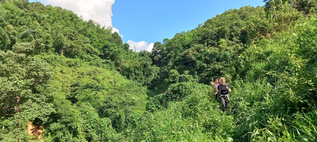 guide trekking chiang rai thailand off the beaten tracks english mountain hilltribe 3 days 2 nights