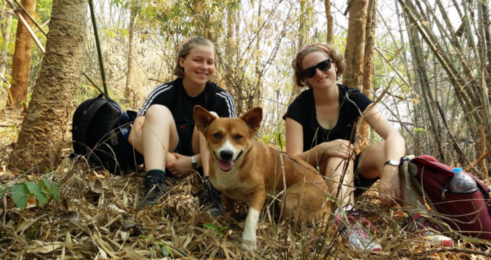 guide trekking chiang rai thailand off the beaten tracks english mountain hilltribe