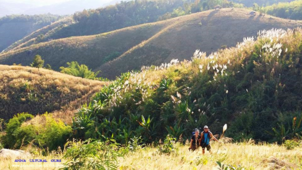 guide trekking chiang rai thailand off the beaten tracks english mountain hilltribe 2 days 1 night